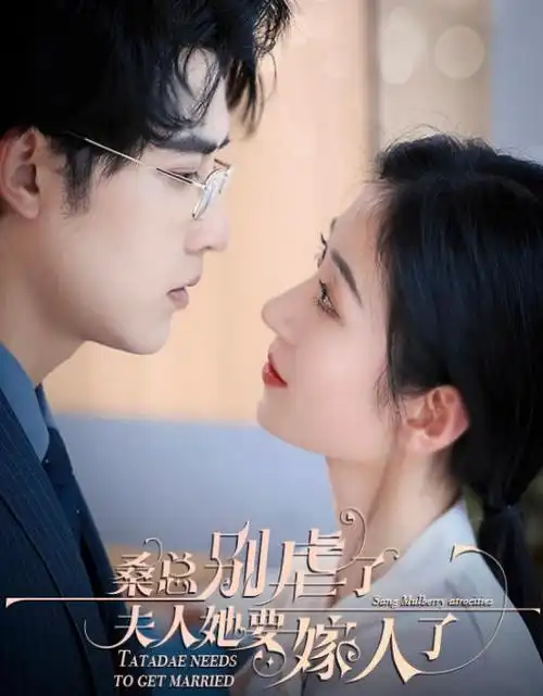 长夜将尽 热播电视剧全集手机免费在线观看